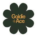 Logo for goldieandace.com