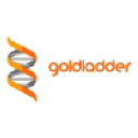 goldladder.co.uk