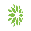 gomo health