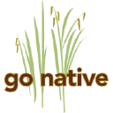 Go Native