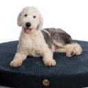 gorilladogbeds.com