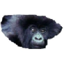 gorillasafarisrwanda.com