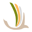 gotolatam.com