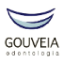 gouveiaodontologia.com.br