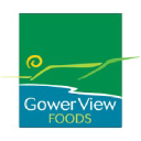 gowerviewfoods.co.uk