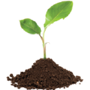 Grab N' Grow Soil Products