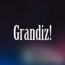 grandiz.com