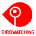 graphicbirdwatching.com