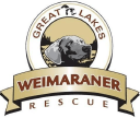 great-lakes-weimaraner-rescue.com