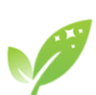 greencarpetcleanup.com