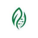 Green Gene CBD Logo