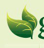 Greenpestservices