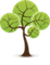 Green Tree Healthcare Management logo
