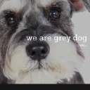 greydog.co