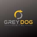 greydog.digital