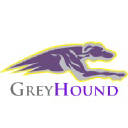 greyhound.network