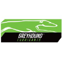 greyhoundlubricants.co.za