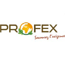 groupe-profex.com