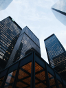 Growmorecapital