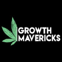 growthmavericks.net