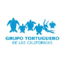 grupotortuguero.org
