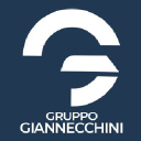 gruppogiannecchini.com