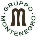 gruppomontenegro.com