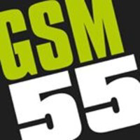 emploi-gsm55-com