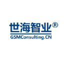 gsmconsulting.cn