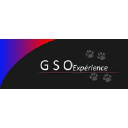 gsoexperience.com
