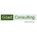 guellconsulting.com