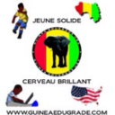GUINEA EDUGRADE INC logo