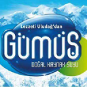 gumus.com.tr