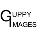 guppyimages.com