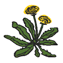 Avatar logo