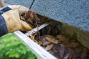 Rafael's Gutter Cleaning