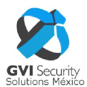 gvisecurity.com.mx