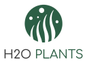 H2O Plants