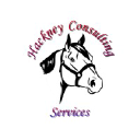 hackney-consulting.com