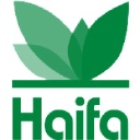 haifa-group.com