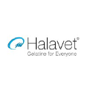 halavet.com
