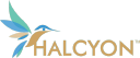 halcyon.support