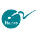 halcyonsearch.com