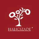 Logo for halicizade.com