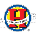 hallwayfeeds.com