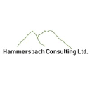 hammersbachconsulting.co.uk