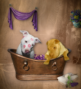 Happy Pet Spa logo