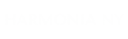 Logo for harmoniany.com