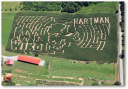 Hartman's Corn Maze