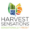 harvestsensations.com